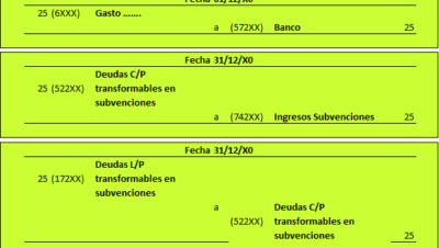 contabilidad subvenciones